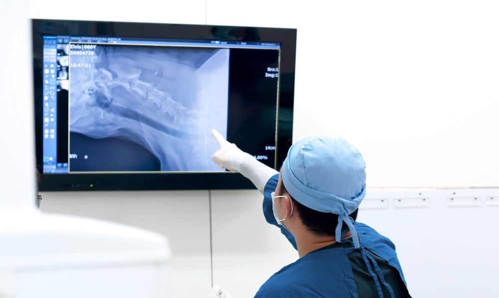 Vet Diagnostics and Lab